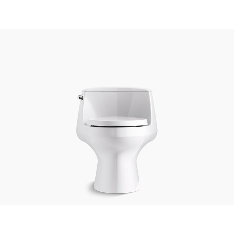 K37220 Kohler San Raphael™ 1.28 GPF Water Efficient Elongated OnePiece toilet (Seat Included